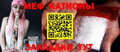 прущие грибы Будённовск