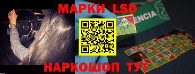 прущие грибы Будённовск