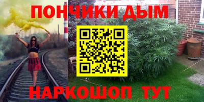 прущие грибы Будённовск