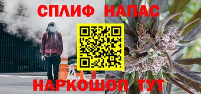 прущие грибы Будённовск