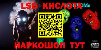 прущие грибы Будённовск