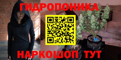 прущие грибы Будённовск