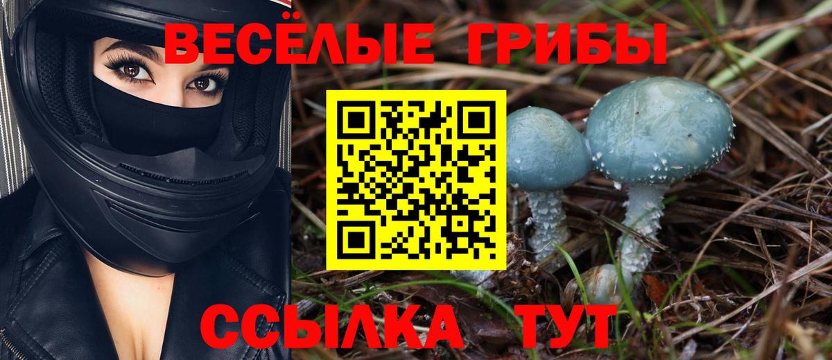 Галлюциногенные грибы GOLDEN TEACHER Полевской