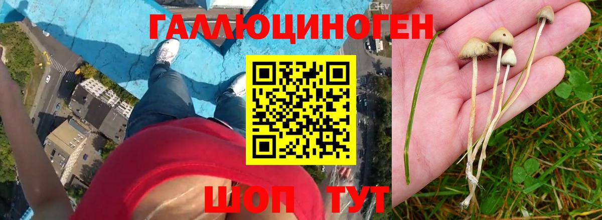 Полевской  Псилоцибиновые грибы ЛСД  Вход с VPN  Псилоцибиновые грибы Magic Shrooms 